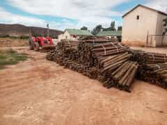 Affordable Pine Poles in Hermanus and Bredasdorp