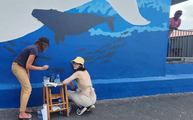 480835573_122170272782283540_4550816847139488456_n_1740379262