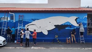 Gansbaai Street Art: Eco-Tourism Mural Project