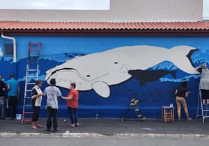 Gansbaai Street Art: Eco-Tourism Mural Project