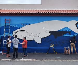 Gansbaai Street Art: Eco-Tourism Mural Project