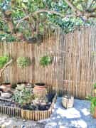 Transform Your Garden with Pine Laths
