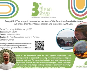 3rd Thursday Lunch Session Recap and Invitation