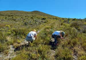 Capturing Nature in Action