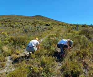 Capturing Nature in Action