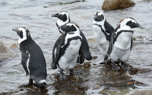 480301676_1053437880150652_3922764333087350713_n_1740640141