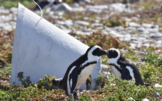 480330601_1053425553485218_1756096301569069678_n_1740640141