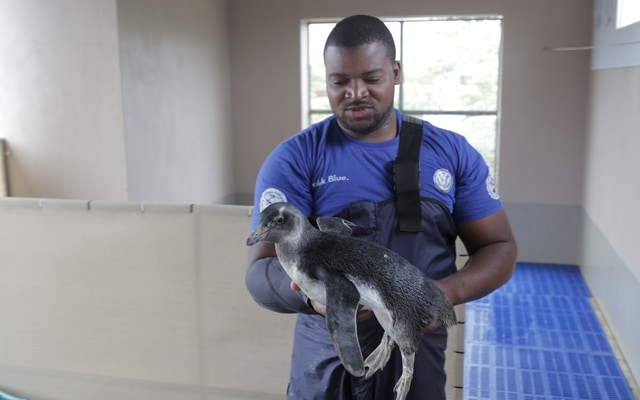 480357096_1053432363484537_5132329998697998573_n_1740640139