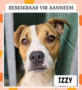 A Loving Home Needed!