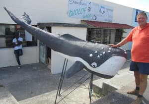 'Splinternuwe' walvis vir Hoofstraat