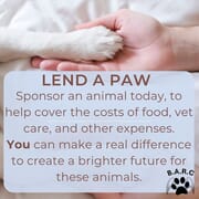 Sponsor a Rescue Animal for Just R100