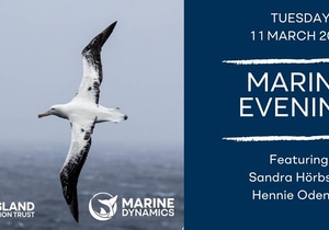Marine Evening Invite: Flock to Marion Island Voyage 2025