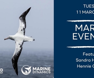 Marine Evening Invite: Flock to Marion Island Voyage 2025