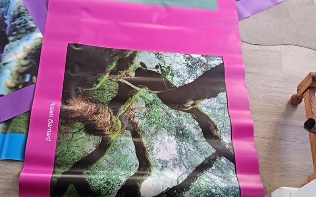 481664652_2470811846593790_5700860555439898005_n_1741158678