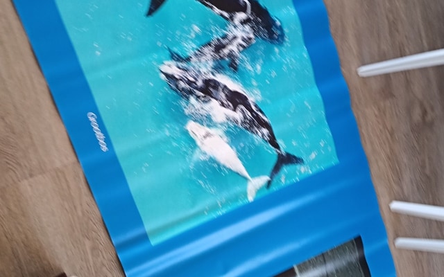 481787871_2470811799927128_8172069144925020493_n_1741158678