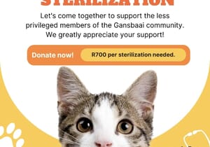 Support Animal Sterilization!
