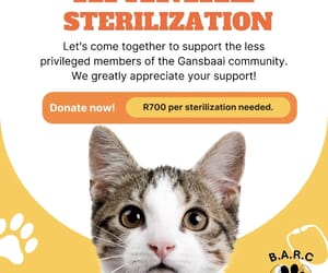 Support Animal Sterilization!