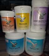 Pigeon Food and Care