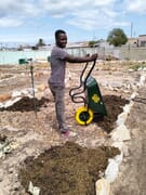 Exciting Progress at the Hub Gardens!