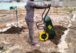 Exciting Progress at the Hub Gardens!