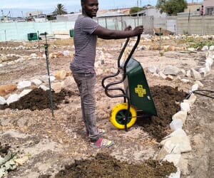 Exciting Progress at the Hub Gardens!