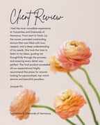 Review from Happy Client (Jacques)