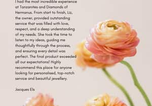 Review from Happy Client (Jacques)