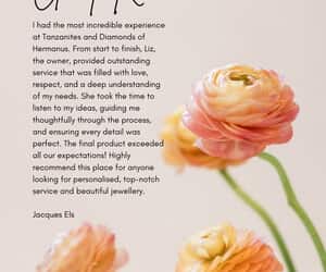 Review from Happy Client (Jacques)