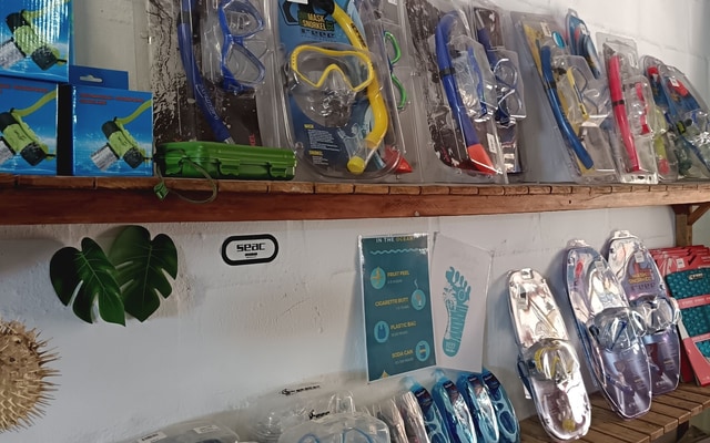 478230190_1181473087312243_4594175040830100104_n_1__1741613681