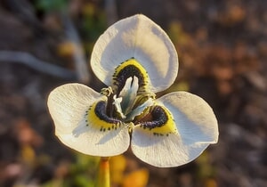 What Are We Reading?