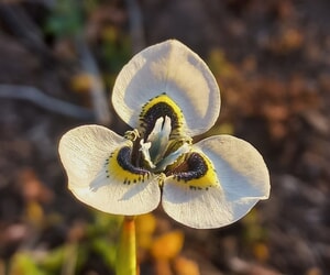 What Are We Reading?