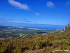 Platbos Hike: A Magical Forest Adventure