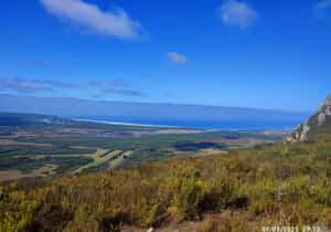 Platbos Hike: A Magical Forest Adventure