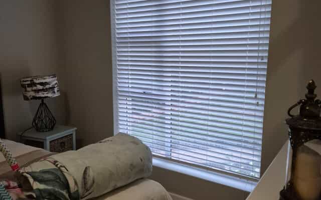 WhatsApp_Image_2025_03_11_at_09.11.49_1741678594