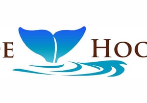 Digging De Hoop Full Programme