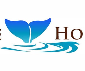 Digging De Hoop Full Programme