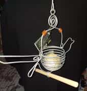 New Bird Supplies at The Pet Grocer!