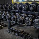 Gym - Boss Fit - Xplorio™ Gansbaai