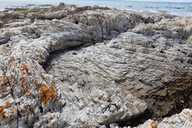 Newsletter #5:17 March 2025