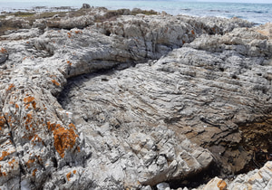 Newsletter #5:17 March 2025