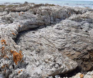 Newsletter #5:17 March 2025