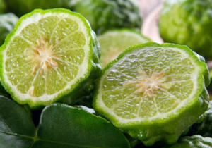 Bergamot (Citrus aurantium ssp.bergamia)