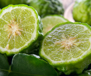 Bergamot (Citrus aurantium ssp.bergamia)
