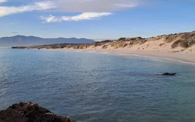 WhatsApp_Image_2025_03_18_at_08.39.24_1742383084