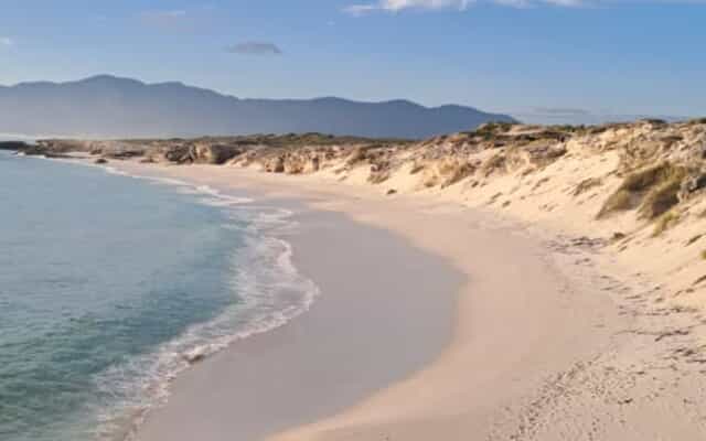 WhatsApp_Image_2025_03_18_at_08.39.25_1742383083