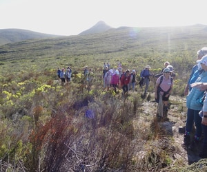 Farm 215 Hike this Upcoming Saturday!