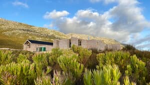 Eco-Friendly Design: Natural Living with Local Materials