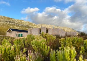 Eco-Friendly Design: Natural Living with Local Materials