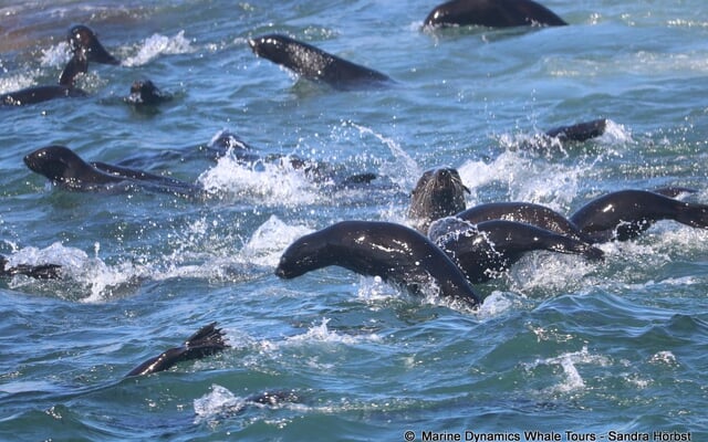 480498933_1229930779142439_6916607733582977644_n_1742537897