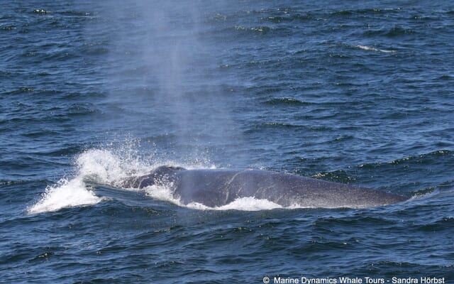 480561066_1229932605808923_6006389228004880697_n_1742537899